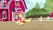 Applejack and Apple Bloom having fun together S5E17