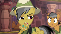 Daring Do glares at Quibble Pants again S6E13