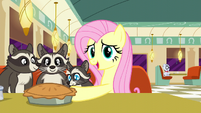 Fluttershy "they were more than willing to help" S6E9