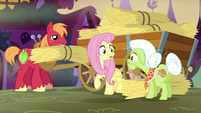Fluttershy -I forgot to stock up on food for Angel- S5E21