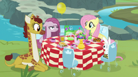 Fluttershy and Pinkie having a tea party S8E18