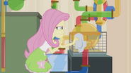 Fluttershy cleaning habitat EG2