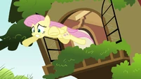 Fluttershy escapes.