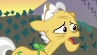 Grand Pear -keep me from my family- S7E13