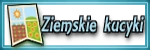 Ziemskie kucyki