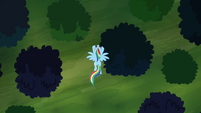Rainbow Dash flying over the forest S4E04