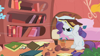 Rarity cleaning S01E08