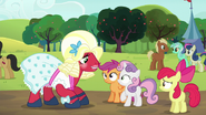 S05E17 Orchard Blossm patrzy na Sweetie Belle i Scootaloo