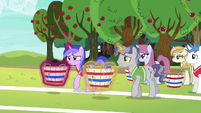Sea Swirl and Star Bright begin their tryout S6E18