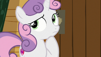 Sweetie Belle thinking for a minute S7E21