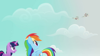 Twilight and Rainbow see Barrel twins flying MLPRR