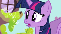 Twilight apologizes S4E21