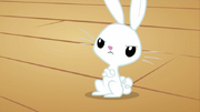 Angel (1).png