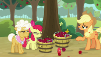 Apple Bloom and Goldie narrow eyes at AJ S9E10