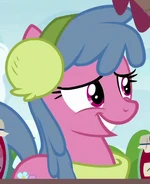 Cherry Jumble ID MLPBGE