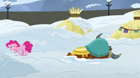 Pinkie Pie angrily stomps away from Rutherford S7E11