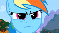 Why so serious, Rainbow Dash?