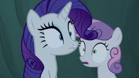 Rarity and Sweetie notice the campfire go out S7E16