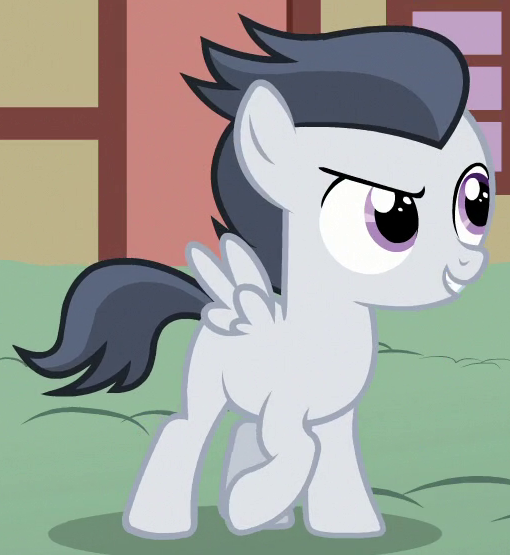 Meet 'Ruby' the Rumble Pony