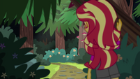 Sunset Shimmer following Timber Spruce EG4