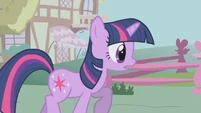 Twilight hears about the new unicorn in town S1E06