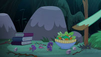 Zephyr points to salad bowl and mushrooms S6E11