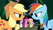 Applejack and Rainbow Dash arguing S4E02