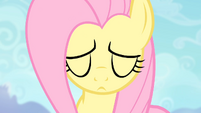 Fluttershy about to do the Stare S4E07