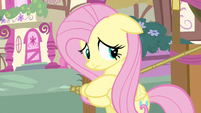 Fluttershy know anything S3E13