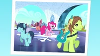 But because of our creative differences, we disbanded at the Crystal Empire.
