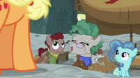 Professor Fossil laughing at Applejack's claim S7E25