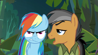 Quibble continues to complain about Daring Do S6E13
