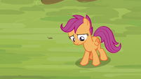 Scootaloo feeling very uncertain S8E20