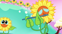Sunflower playing a flute S5E13