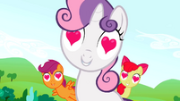 The Cutie Mark Crusaders charmed S02E03