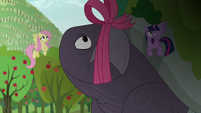 Twilight, Fluttershy, and tortoise looking up S9E13