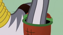 Zecora dipping tail into basket S2E06