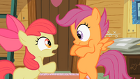 Apple Bloom is really freaking out!