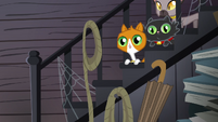 Cats on the staircase S4E09