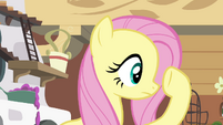 Fluttershy checking under her hoof S4E16