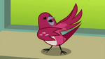 Hubert chirping and gesturing at Fluttershy EGDS10.png