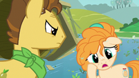 Pear Butter "I'm not sure" S7E13