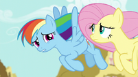 Rainbow Dash "you've been kind of quiet" S6E11