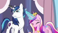 Shining Armor 'I have to find' S3E2