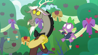 Spike and Discord look at singing apples S9E23