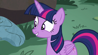 Twilight Sparkle "is okay by me" S7E20