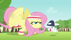 Angel helping Fluttershy S2E22