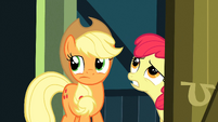 Apple Bloom 'Changes everything!' S3E4