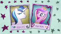 Felt pictures of Shining Armor and Cadance BFHHS1