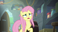 Fluttershy "concentrated carrot extract?" S9E18